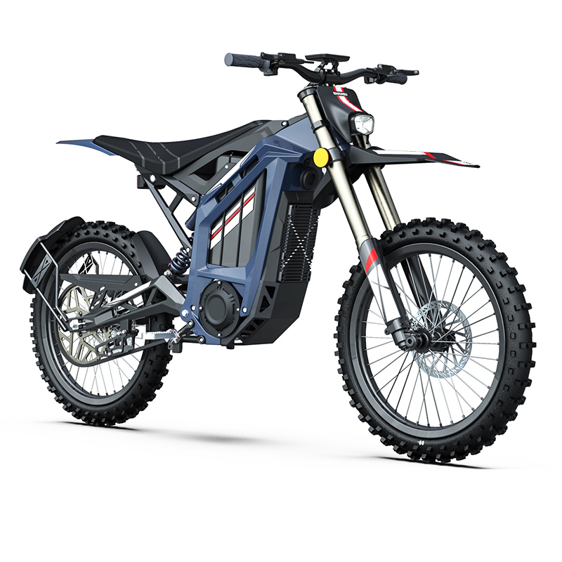 100-110km Range DNM Inverted Suspension Fork Electric Hybrid Bike with LCD Display