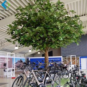 China Looks Real Chinese Parasol Tree Large Size For Christmas Decor 6m Height wholesale