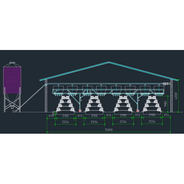 Modular H Type Chicken Egg Layer Cage with Hot-dipped Galvanization and Automatic Feeding System