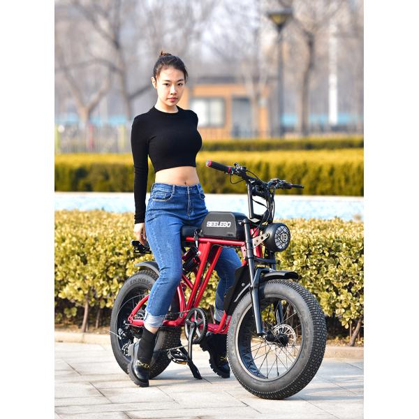 High Power Electric Cycle Motor 500w 750w 1000w E-bike GOMID Retro Electric Fat Tire Bicycle with Wheel Size 20*4.0 Inch