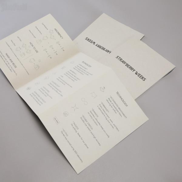 Quality Printing Folded Custom Mini Booklet Products Guidelines Print Instruction Booklet for sale