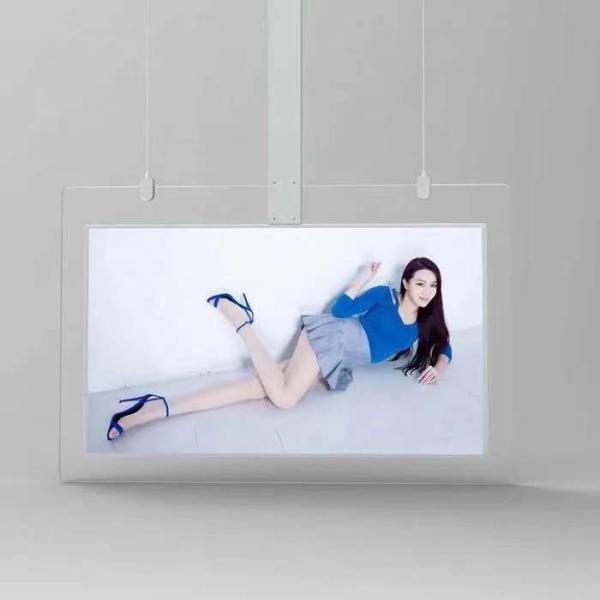 Quality 700 Nits Hanging Transparent LCD Screen 55inch OLED Double Sided Digital Display for sale
