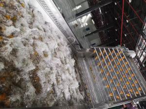 China PLC Control 220V 3T/Day Grape Juice Processing Line wholesale
