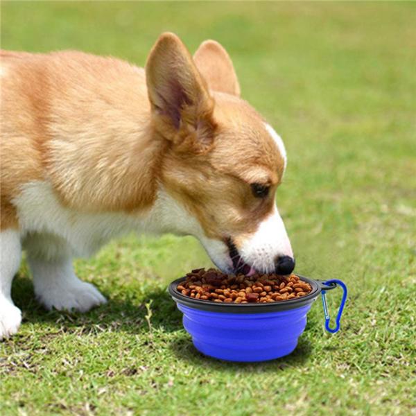 Eco Friendly 9cm Pet Feeder Bowl 15oz Silicone Pet Bowl