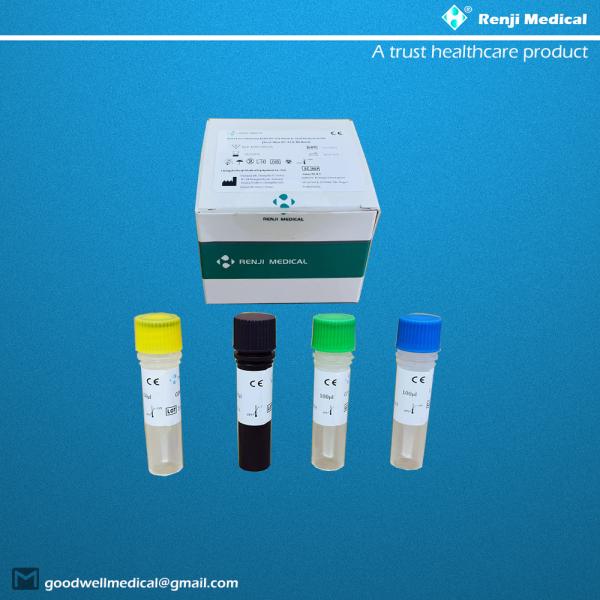 Quality Novel Coronavirus COVID-19 Nucleic Acid Testing Kit CE Qualitative Rt Pcr Test for sale