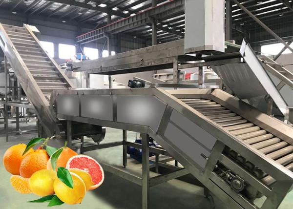 Fully Automatic Citrus Processing Line Increases Production Capacity By More