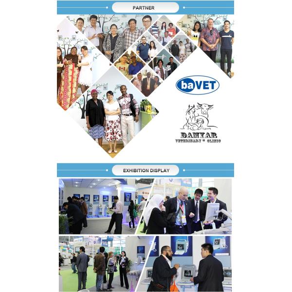 Medical 192 Element Wireless Handheld Color Doppler Ultrasound Probe Built-in Lithium Battery