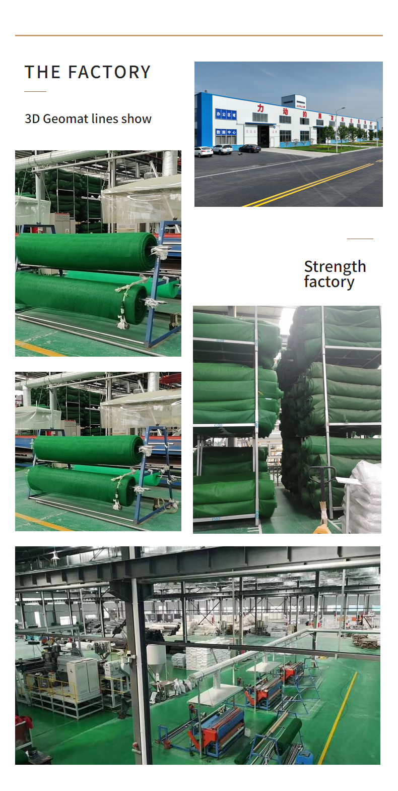 3D Geomat for Promoting Seed Sprout and Slope Stabilization in Railway Construction