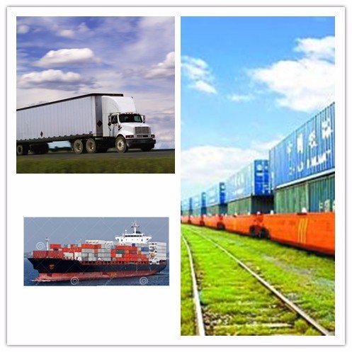 10FT Prefabricated Shipping Container Exhibition