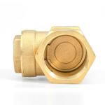DN25 DN15-DN50 Non Return One Way Check Valve Port Size Customized