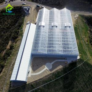 Hot DIP Galvanized Steel Structure PC Sheet Greenhouse For Orchids Plants
