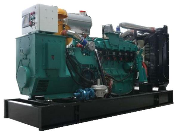 Quality Three Phase Biogas Generator Set , 127V 250KW Biogas Powered Electric Generator for sale