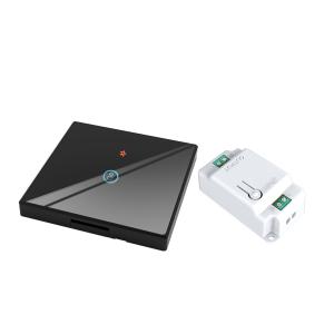 China tuya WiFi wireless remote control switch tempered glass panel with mini smart breaker bestchoice for old version circuit wholesale