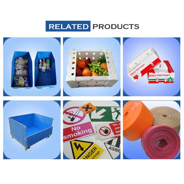 White PP Corrugated Plastic Box , Foldable Corrugated Plastic Box