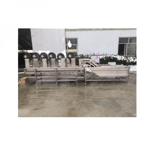 Quality 1000kg/hr Industrial Full Automatic IQF Frozen Green Peas Processing Machine Turkey Line Factory Price for Sales for sale