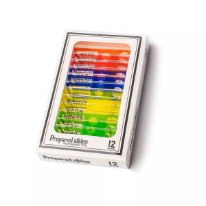 China 12pcs Children Customized Colorful Plastic Microscope Slides Used For Homeschool Teaching wholesale