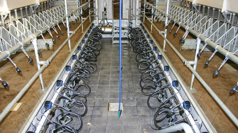 Sliding Door and Roller Door Design Q345 Metal Frame Goat/Sheep House for Cow/Cattle Farm