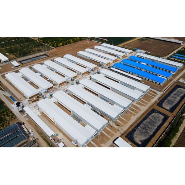 Customized Steel Poultry House , Prefab Chicken House For Layer Broiler Farming