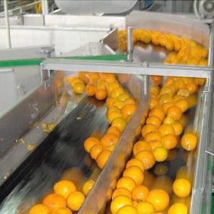 China 50T/H Industrial Lemon Juice Machine Fresh Fruit Processing Machine on sale