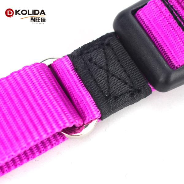 Dog Training Nylon Webbing Collar With Double D Rings Easy Washing