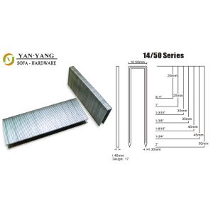 China 1450 series golden color furniture staples factory price galvanized sofa staples on sale China 1450 series golden color furniture staples factory price galvanized sofa staples on sale