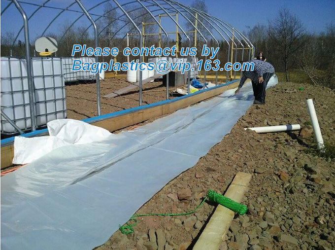 HOTICULTURAL MULCH FILM,AGRICULTURAL PE FILM,MARKET GARDENERS CLOCHE FILM,PE FILM FOR CORN,PLASTIC FILM COVER,TOMATO COV