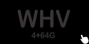 WHV 4+64 UIS8581A Introduction