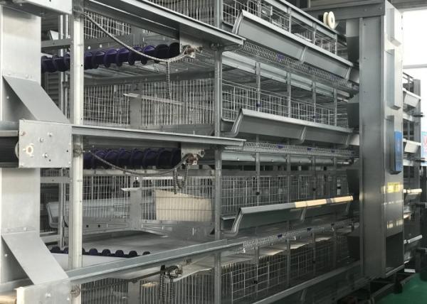 Quality Feed System Poultry Keeping Equipment  Easy Use Convenient Management for sale