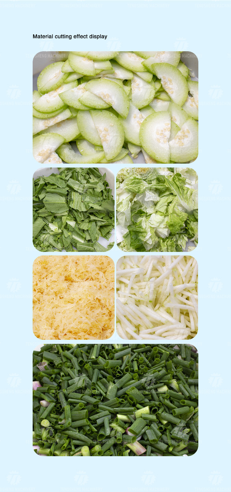 180KG Vegetable and melon slicing and slicing machine One machine multi-purpose automatic chopping machine