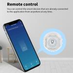 Tuya 10A 16A Wifi Switch Smart Breaker Module APP Remote Control Switch