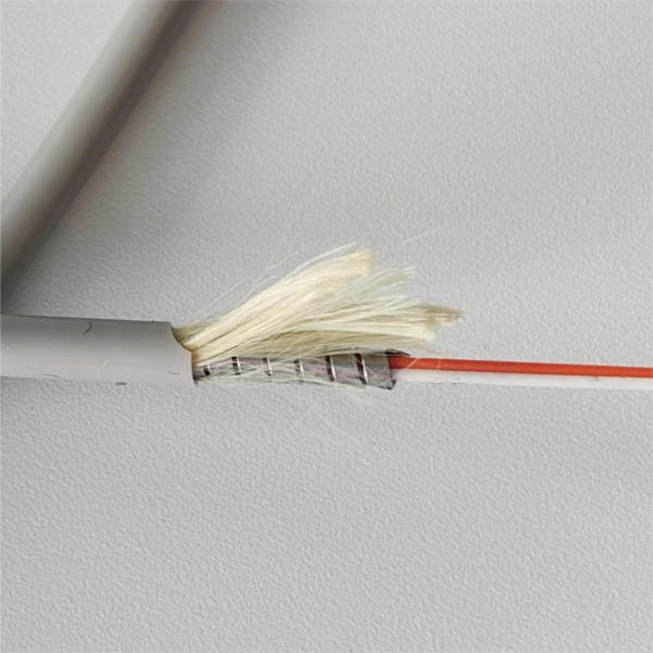 3.3MM Armored Fiber Optic Patch Cable DSC DLC 150M OM3 150 Aque
