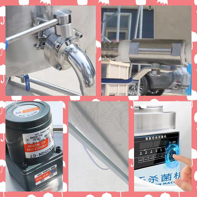 Different Sizes small pasteurization machine Milk Pasteurization Equipment