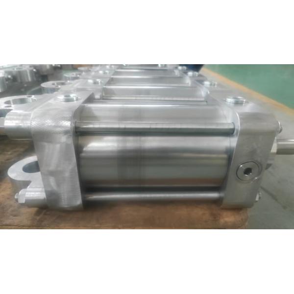 Stainless Steel Air Pneumatic Cylinder Acting Custom Standard