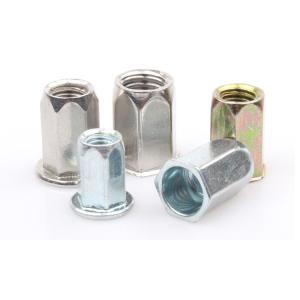 Flat Head Open End Hex Rivet Nut Blind Riveting Round Head Full Hex Rivet Nuts