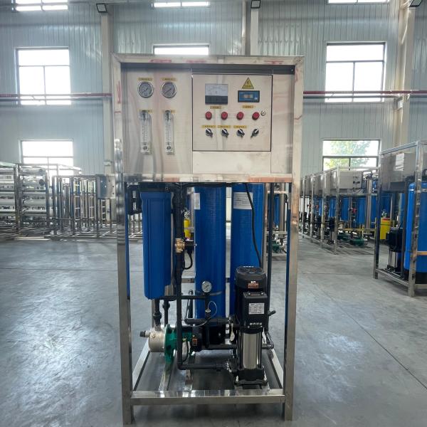 Quality 300/H Drinking Water Reverse Osmosis RO System Water Treatment Plant for sale