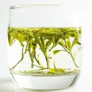 China Huangshan Maofeng Green Tea Extract Loose Thin GreenTea wholesale