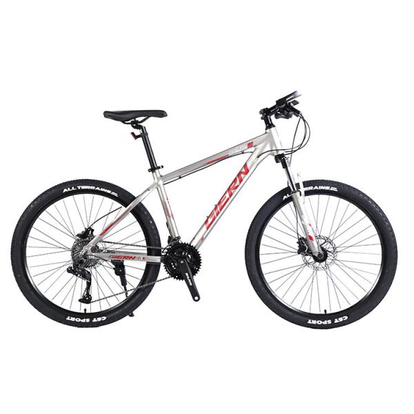 Quality Alloy Frame Inner Cable Custom 26/27.5/29 Inch Bicicleta Mountain Bike 30 Speed Gears for sale