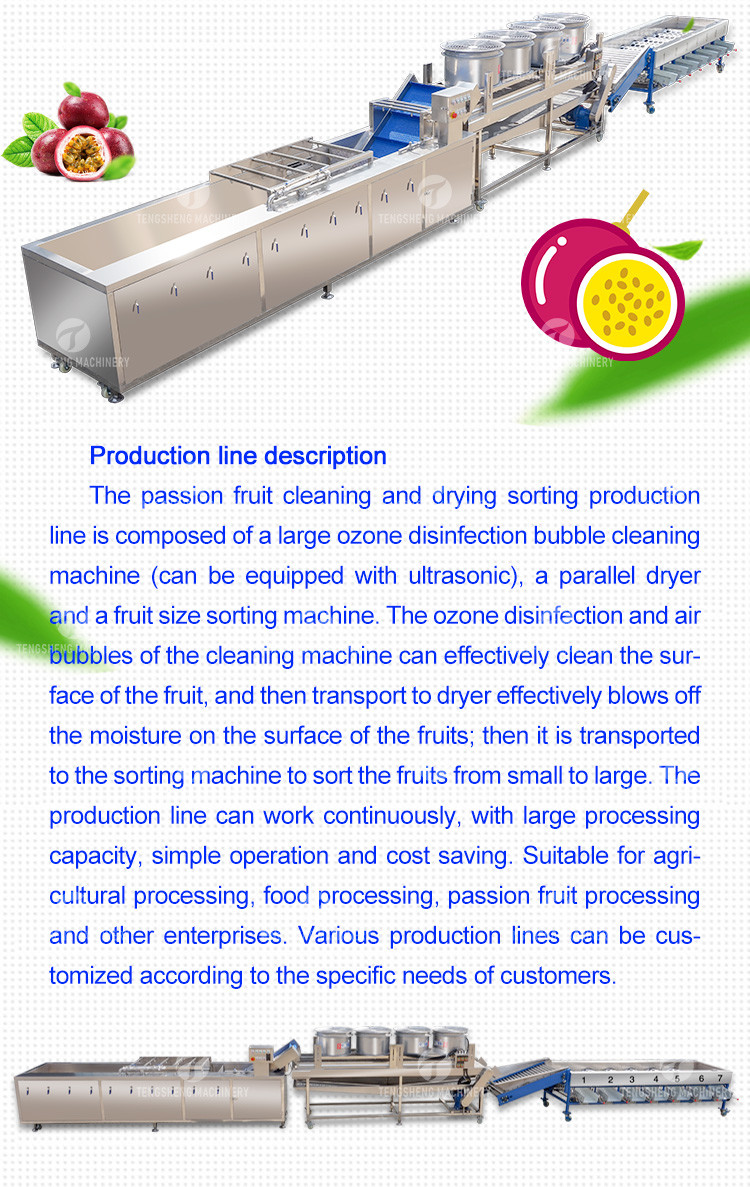 Silvery Personalization Passion Fruit And Vegetable Processing Line Fruit Cleansing Drying