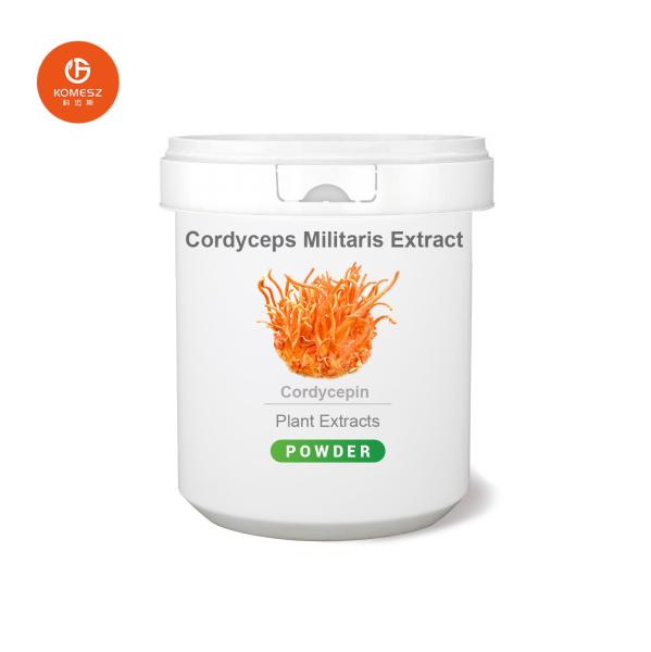 Quality High Quality Cordyceps CS-4 / Cordyceps Militaris Extract / Cordyceps Sinensis Extract Powder for sale