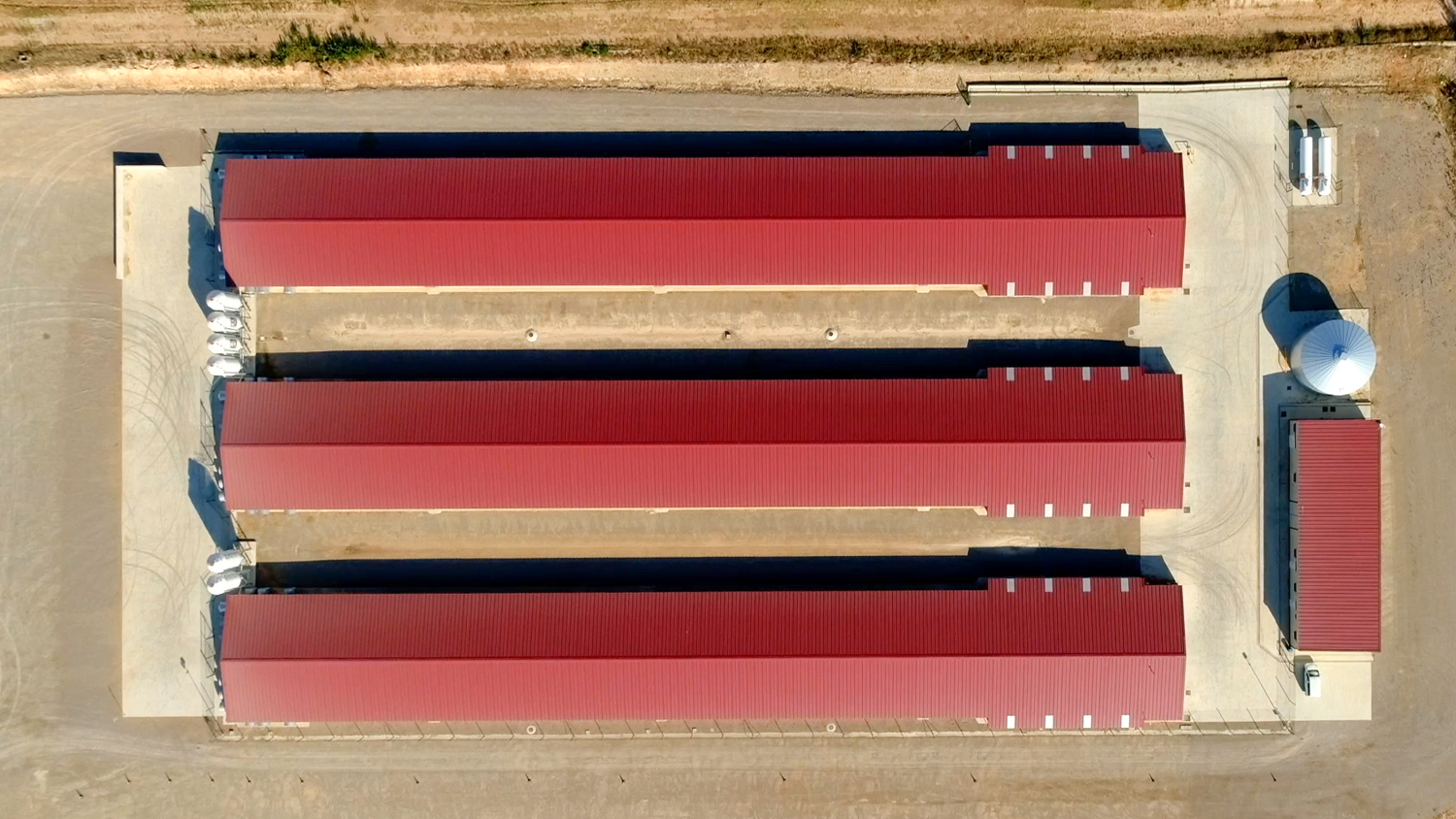 10000 Chickens Prefabricated Steel Tolerance ±1% for Chicken and Duck Farm Structures