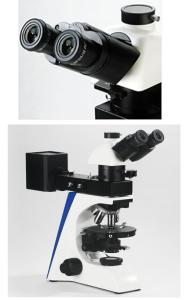 Reflecting Illumination Compound Light Microscope Polarizing Siedentopf Binocular Head