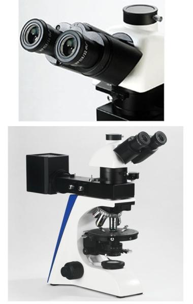 Quality Reflecting Illumination Compound Light Microscope Polarizing Siedentopf Binocular Head for sale