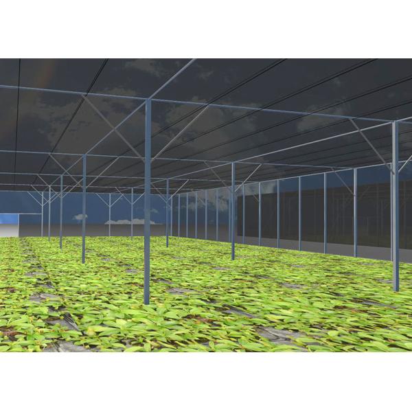 UV Resistant Net House And Polyhouse Black For Seedling Nurseries