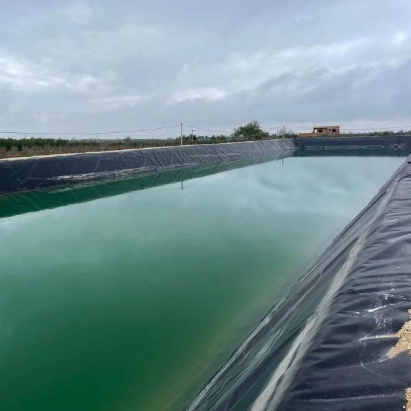 Quality Anti-UV HDPE Geomembrane Liner 45 mil 60 mil Plastic Liner for Fish Pond Width 2m-8m for sale