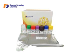 China High Precision and Specificity Adropin for Human ELISA Kit 96 Wells 48 Wells wholesale