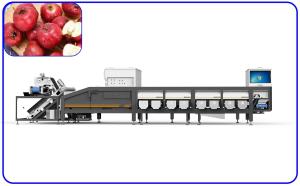 China Red Dates Automatic Grading Machine wholesale