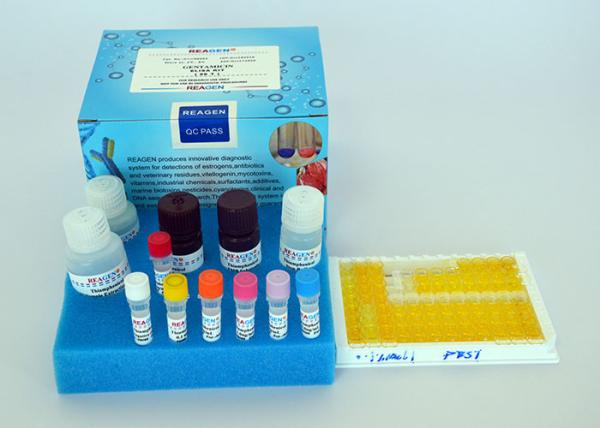 Quality Strong Specificity Testosterone ELISA Test Kit With 2 Hours Assay Time for sale