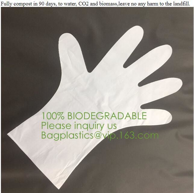 Custom Cornstarch 100% Compostable Biodegradable Trash bag,PLA compostable plastic fresh vegetables packaging bag PBAT