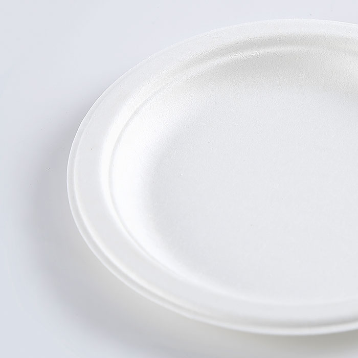 Custom eco friendly round party paper plate 9 inch biodegradable disposable sugarcane bagasse plate