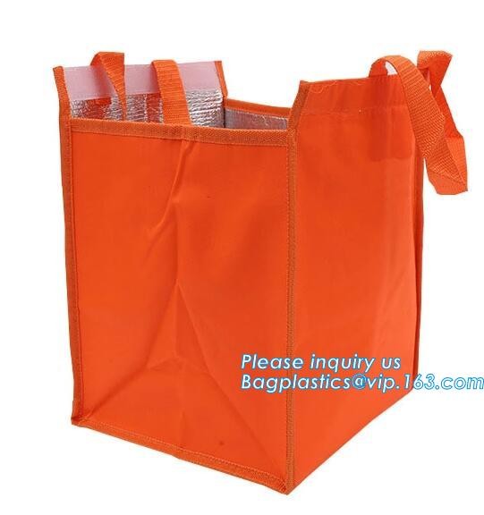 Customized logo printing insulated food delivery cooler bag,wholesale waterproof food delivery thermal bags bagplastics